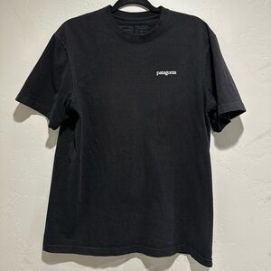 Patagonia Men’s T-shirt